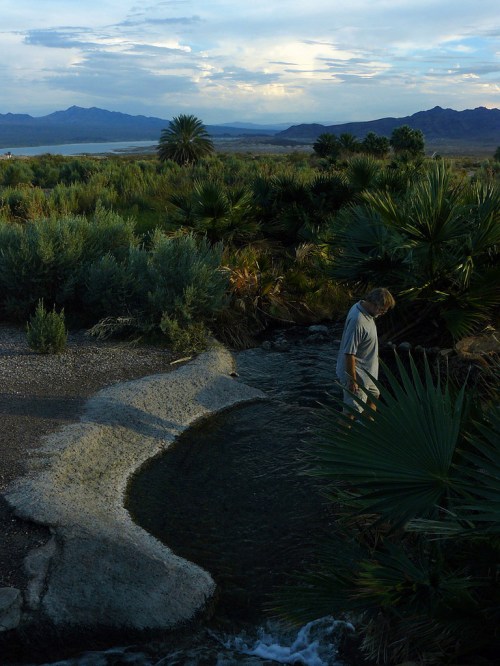 A person stands by a stream surrounded by lush greenery and mountains under a cloudy sky.