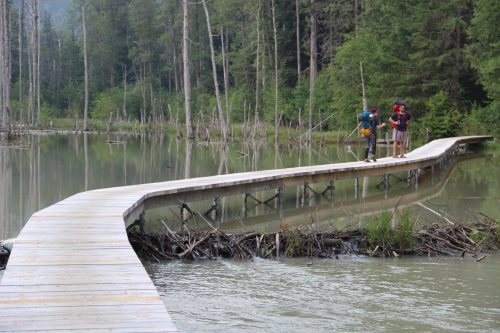 Two hikers on a wooden boardwalk over a calm, flooded area surrounded by trees.