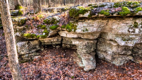 Rocky outcrop covered in moss, surrounded by trees and fallen leaves in a forested area.
