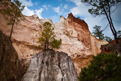 A rocky landscape with towering cliffs and a small tree growing on a large boulder under a blue sky.