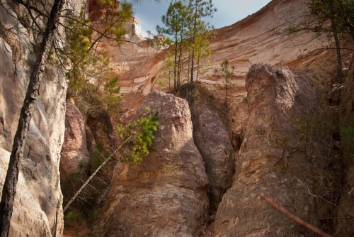 A rocky canyon with tall, layered cliffs and scattered pine trees under a clear sky.