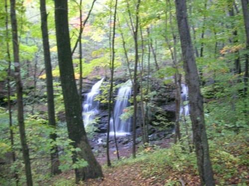 A blurred image of a waterfall surrounded by trees in a lush, green forest during autumn.