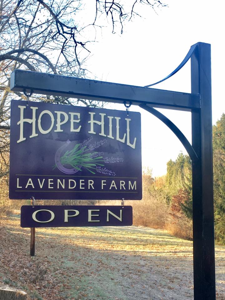 Spring Awakens At Hope Hill Lavender Farm