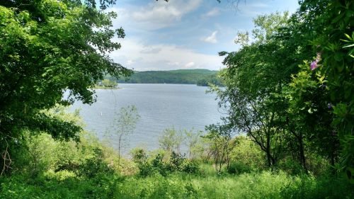 A serene view of a lake surrounded by lush greenery and trees under a partly cloudy sky.