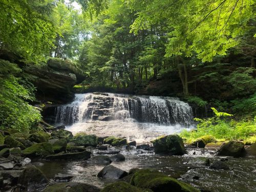 A serene waterfall cascades over rocks, surrounded by lush green trees and foliage in a tranquil forest setting.