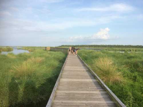 A wooden boardwalk stretches through lush green marshland, leading to a group of people in the distance under a blue sky.