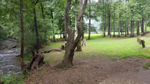 A serene forest scene with a stream, grassy area, and trees, creating a peaceful natural setting.