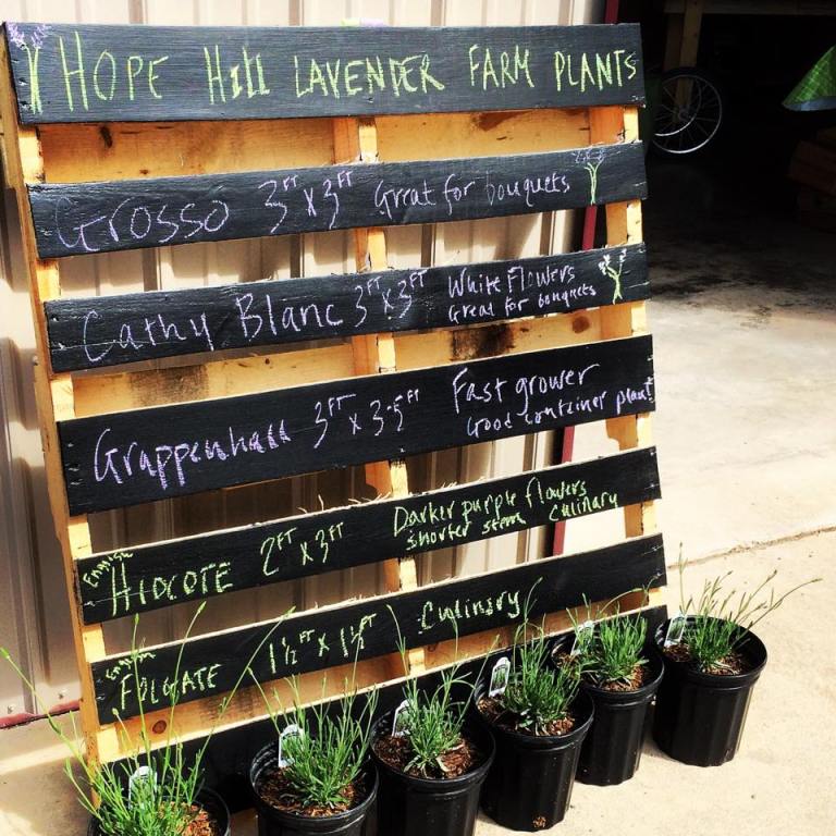 Planning Your Visit To Hope Hill