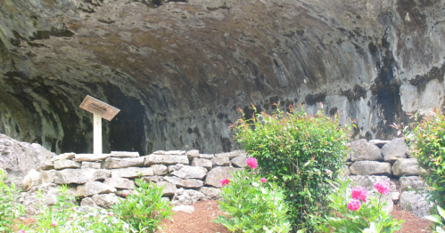 A cave with a curved ceiling, surrounded by stone walls and blooming flowers in the foreground.