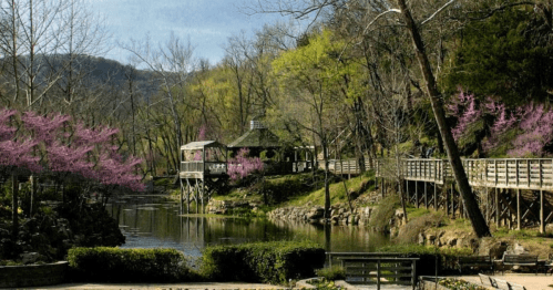 A serene park scene with a wooden gazebo by a calm river, surrounded by blooming trees and lush greenery.