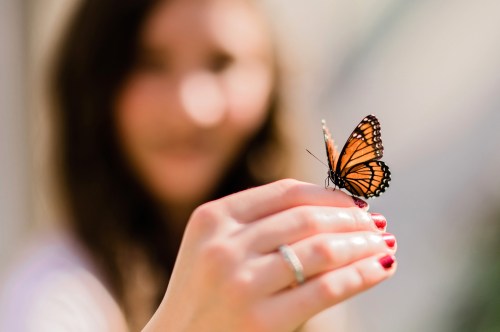 A close-up of a person holding a butterfly on their finger, with a blurred background.
