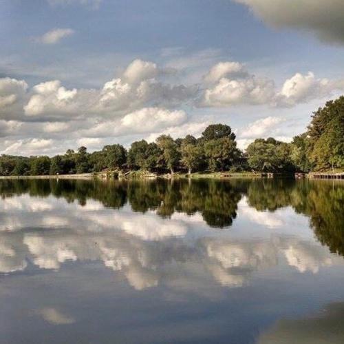 A serene lake reflecting fluffy clouds and lush trees under a partly cloudy sky.