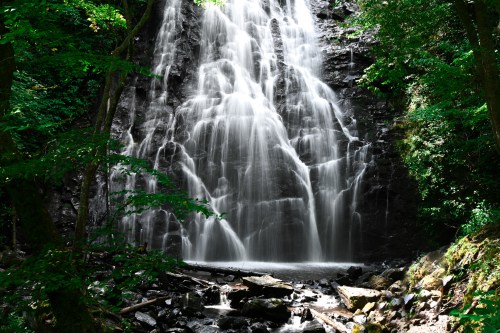 A serene waterfall cascading down dark rocks, surrounded by lush green trees and a rocky foreground.