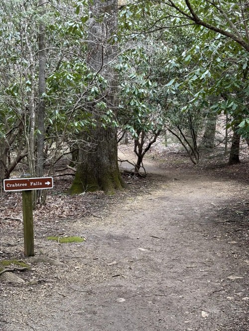 A dirt path through a wooded area with a sign pointing to Crabtree Falls.