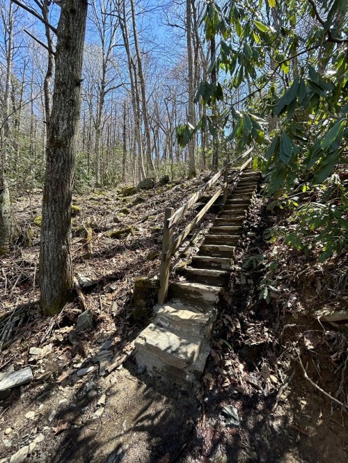 A wooden staircase leads up through a forested area with trees and rocky terrain under a clear blue sky.