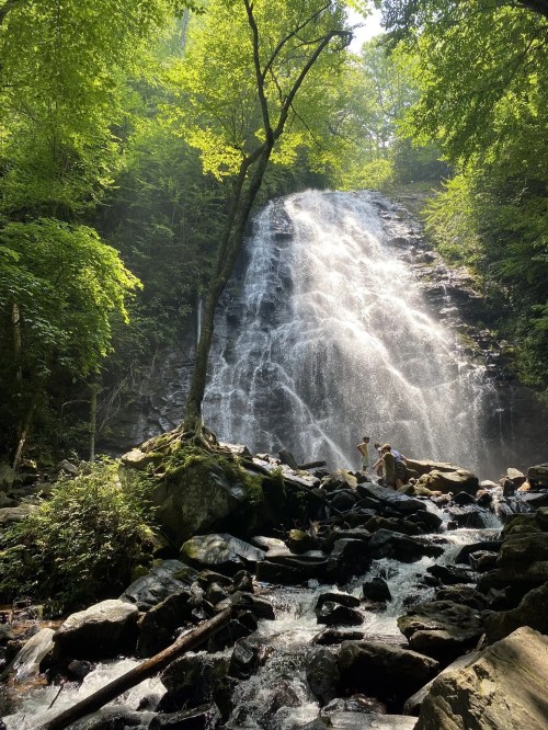 A waterfall cascades down rocky cliffs, surrounded by lush green trees, with two people standing near the water's edge.