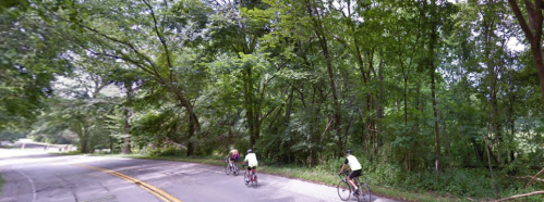 Three cyclists ride along a winding road surrounded by lush green trees.