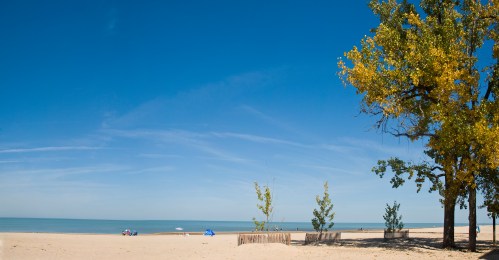 A serene beach scene with golden trees, clear blue skies, and gentle waves lapping at the shore.