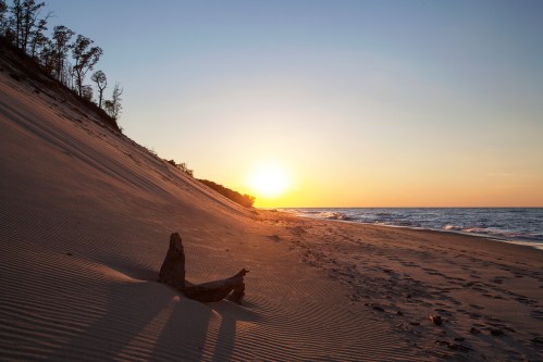 Sunset over a sandy beach with gentle waves, framed by trees on a dune.