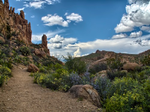 A scenic trail winds through rocky terrain and vibrant wildflowers under a blue sky with fluffy clouds.
