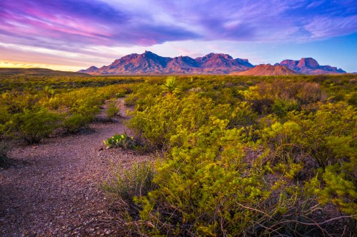 Vibrant desert landscape at sunset, featuring mountains in the background and lush greenery in the foreground.