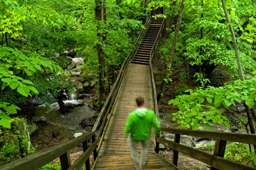 A person walks along a wooden bridge in a lush green forest, with a stream flowing nearby.