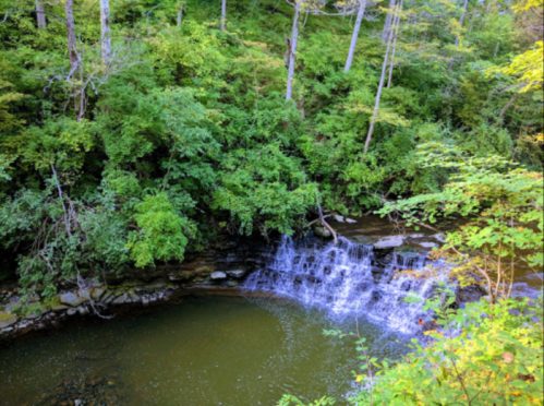 A serene stream flows over rocks, surrounded by lush green trees and foliage in a peaceful natural setting.