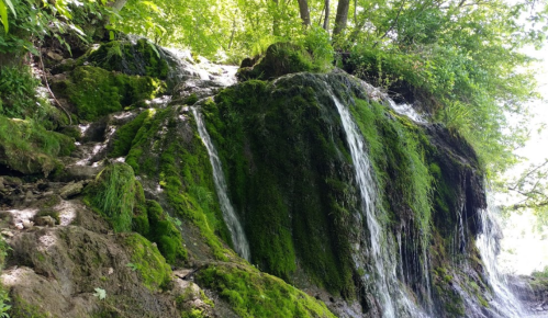 A lush, green moss-covered rock with water cascading down in a serene natural setting.