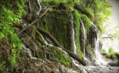 A serene waterfall cascading over a mossy rock face, surrounded by lush greenery and trees.