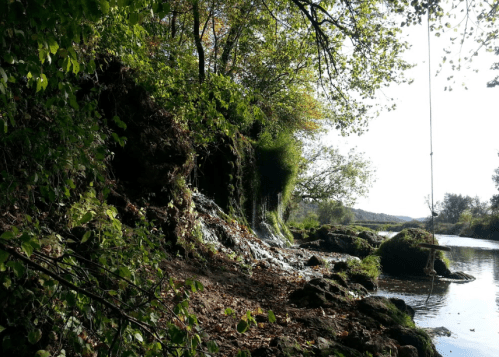 A serene riverside scene with lush greenery, rocky banks, and a rope swing hanging from a tree.
