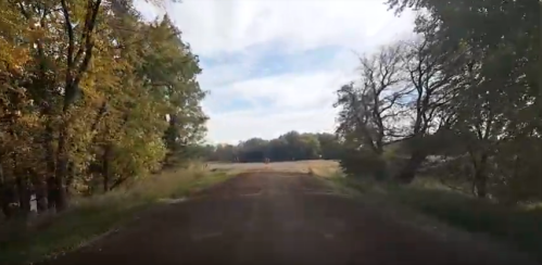A dirt road lined with trees, leading to an open field under a cloudy sky.