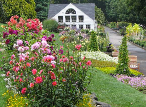 A charming white house surrounded by vibrant flower gardens and lush greenery on a sunny day.