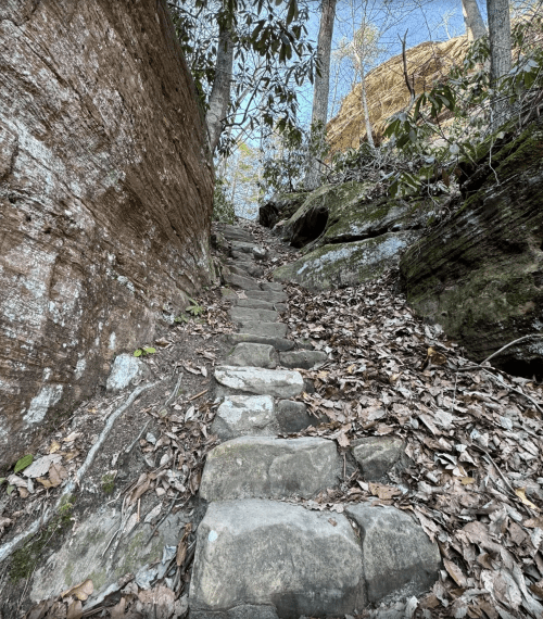 Stone steps lead up a wooded path, surrounded by rocky terrain and fallen leaves.