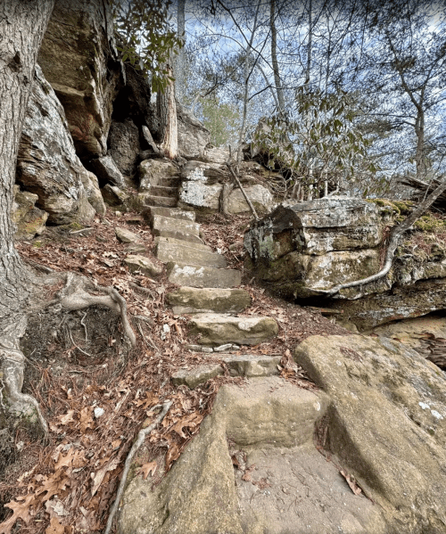 Stone steps lead up a rocky path surrounded by trees and fallen leaves.