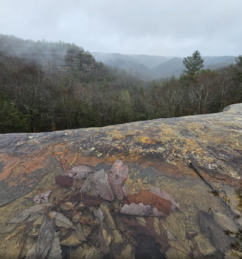 A misty landscape view from a rocky ledge, with scattered leaves in the foreground and rolling hills in the background.