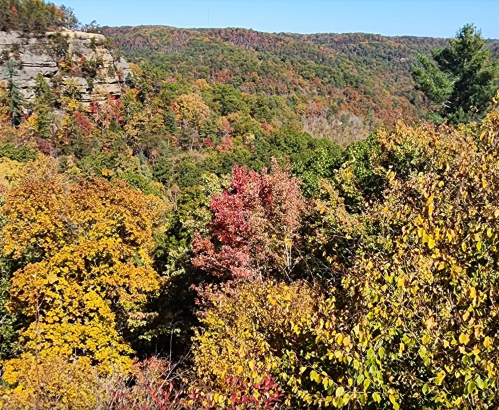 Vibrant autumn foliage covers rolling hills, showcasing shades of red, orange, and yellow against a clear blue sky.