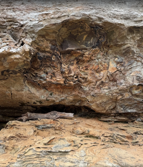 Textured rock surface with intricate patterns and earthy tones, showcasing natural erosion and geological features.