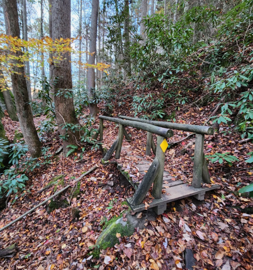 A small wooden bridge in a forest, surrounded by autumn leaves and trees.