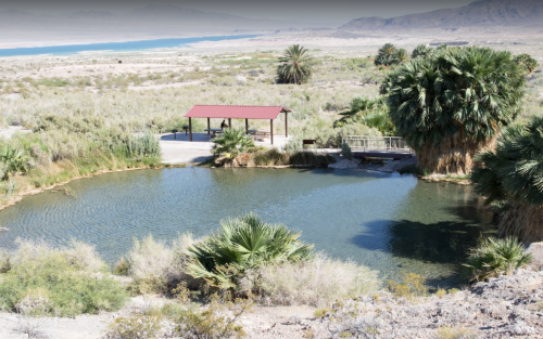 A serene pond surrounded by lush greenery and palm trees, with a shaded gazebo nearby in a desert landscape.
