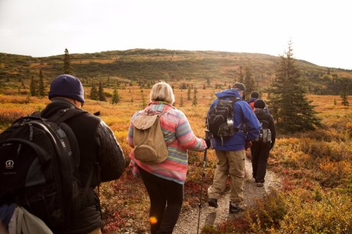 A group of hikers with backpacks walking along a trail in a colorful, grassy landscape under a cloudy sky.