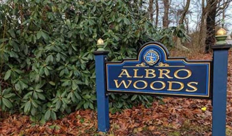 Quiet Charm Of Albro Woods