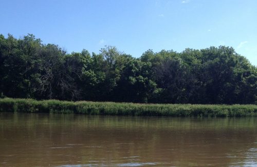 A calm river reflects the blue sky, bordered by lush green trees and dense vegetation on the banks.