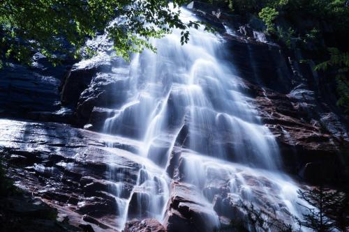 A cascading waterfall flows over rocky cliffs, surrounded by lush greenery and dappled sunlight.