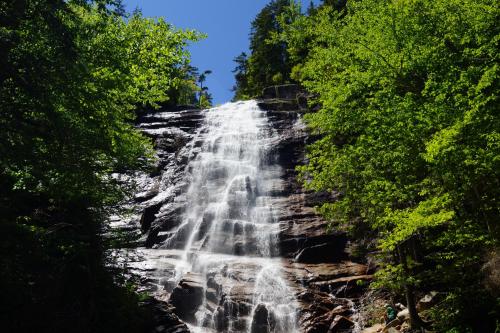 A cascading waterfall surrounded by lush green trees under a clear blue sky.