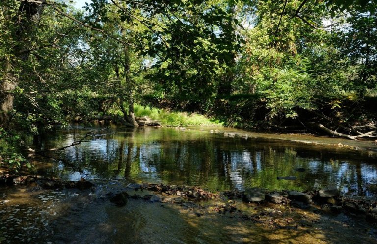 Wander the Trails Along Red Clay Creek