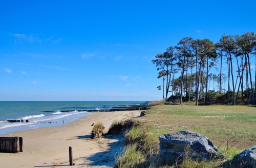 A serene beach scene with gentle waves, sandy shore, and tall trees under a clear blue sky.
