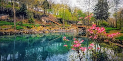 A serene pond surrounded by lush greenery and blooming pink flowers, reflecting trees and a gazebo in the water.