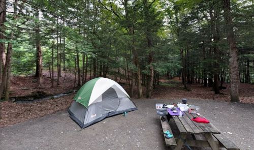 A camping site with a green and gray tent, a picnic table, and a forested area with trees and a small stream nearby.
