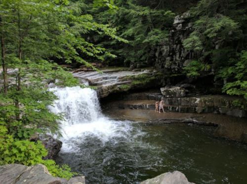 A serene waterfall cascades into a pool surrounded by lush greenery, with a person standing near the water's edge.