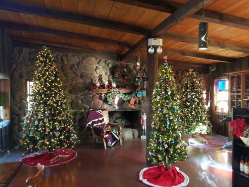 Cozy room with three decorated Christmas trees, a stone fireplace, and festive decorations throughout.